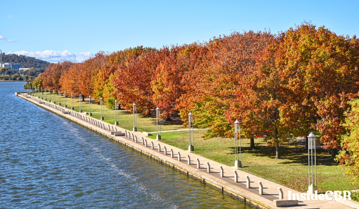 The best time to visit Canberra for many people is Autumn